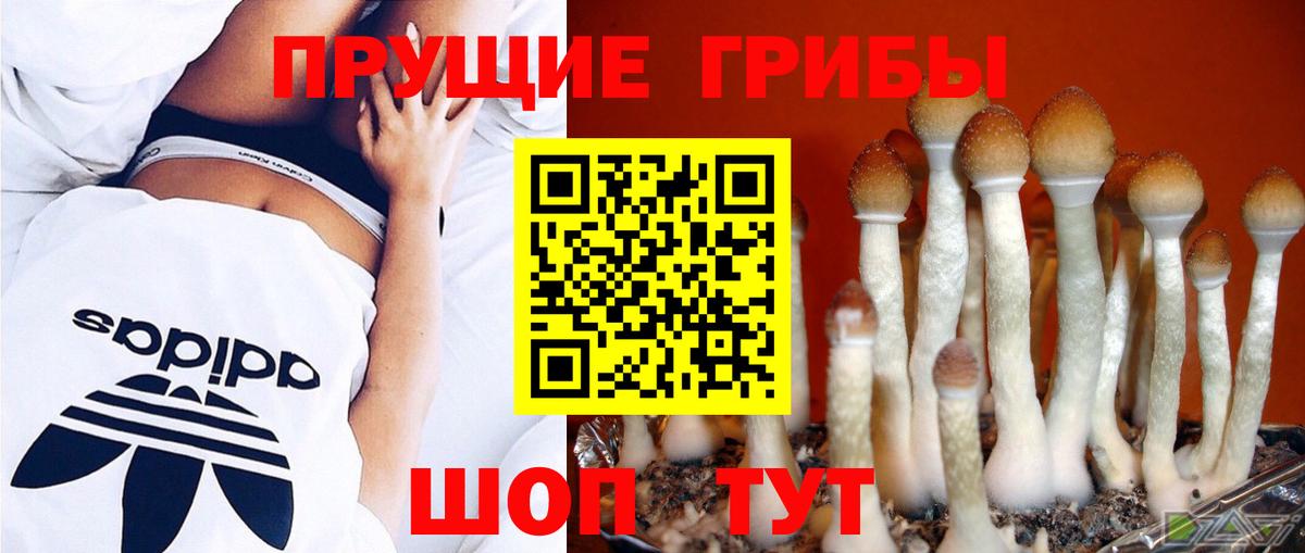 Псилоцибиновые грибы MAGIC MUSHROOMS Лысьва