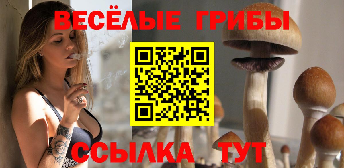 Галлюциногенные грибы прущие грибы  Псилоцибиновые грибы GOLDEN TEACHER  Вход с VPN  Лысьва 